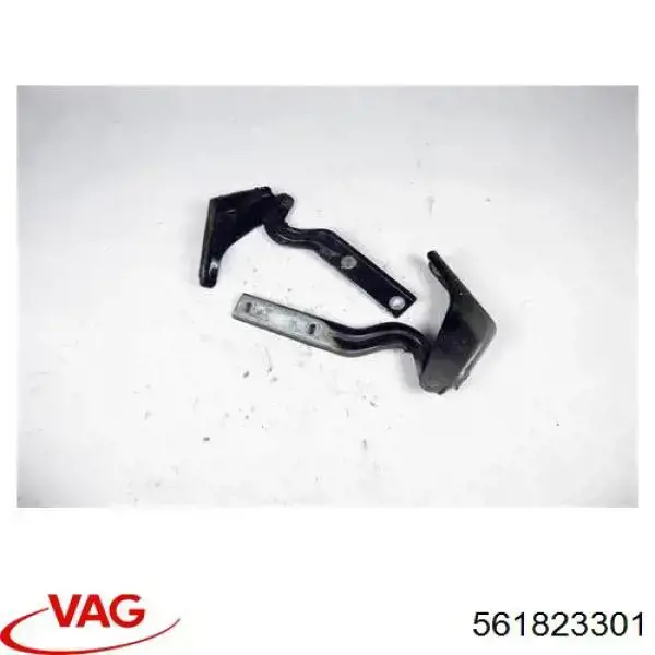 561823301 VAG Gozno da capota esquerdo