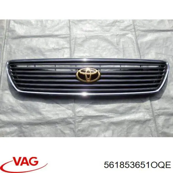 Grelha do radiador 30853249 AND