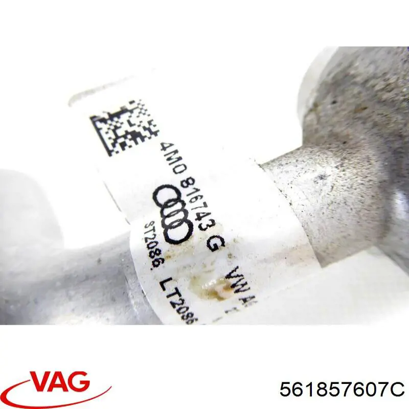 Compre 561857607C VAG 