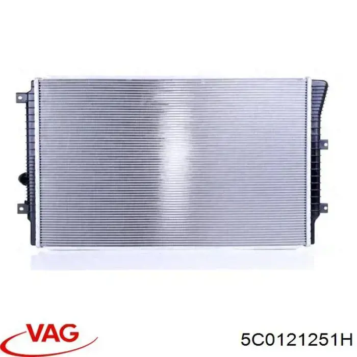 613WVA16732 TYC Radiador de esfriamento de motor