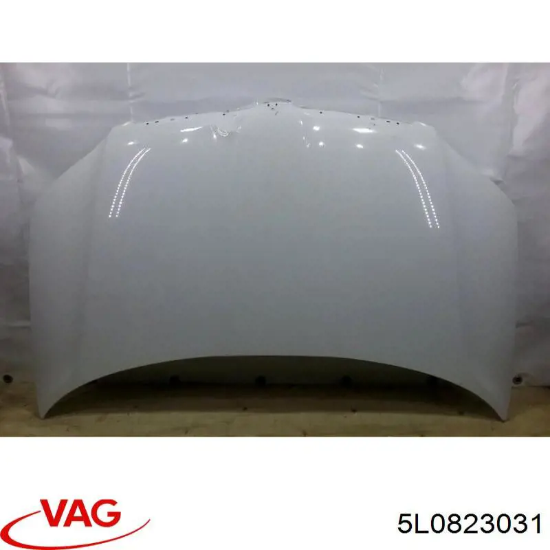 Capota VAG 5L0823031 preço, a partir de 230,65 USD