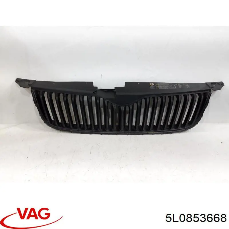 5L0853668 VAG Grelha do radiador