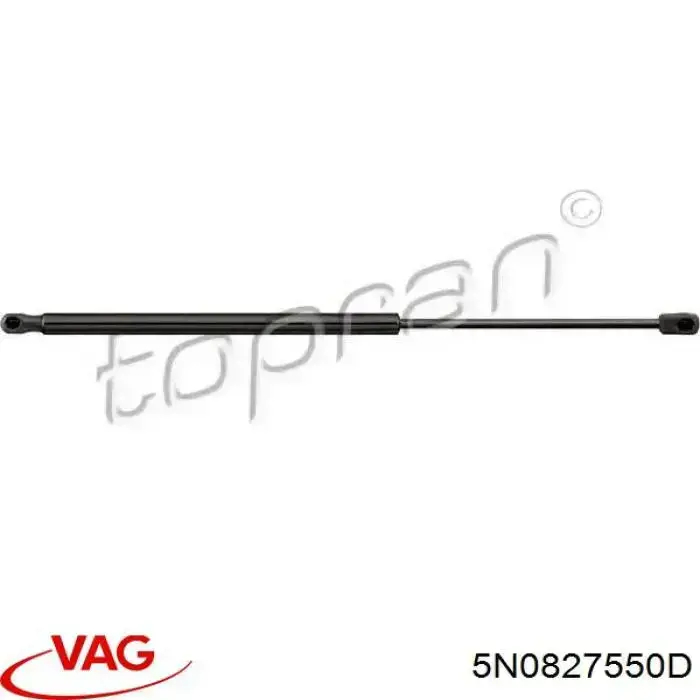 5N0827550D VAG Amortecedor de tampa de porta-malas (de 3ª/5ª porta traseira)