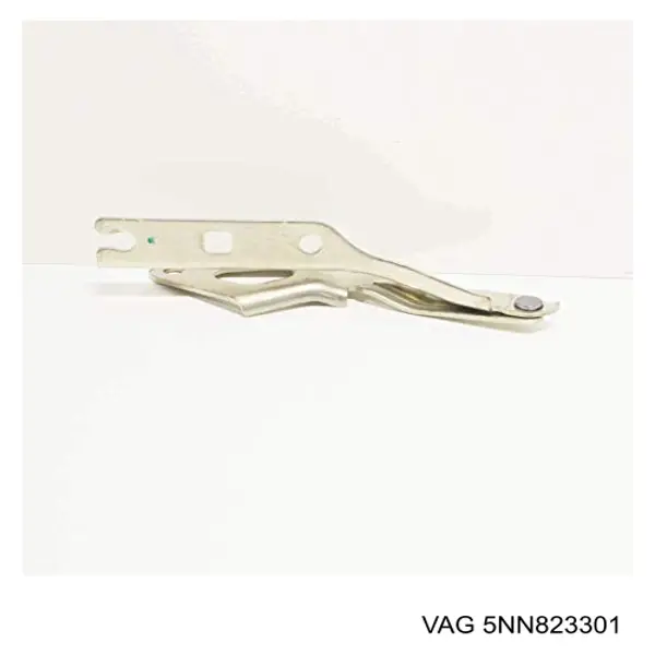 5NN823301 VAG Gozno da capota esquerdo