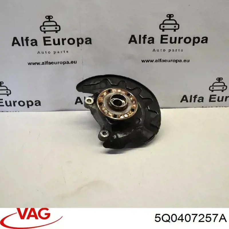 Pino moente (extremidade do eixo) dianteiro esquerdo VAG 5Q0407257A preço, a partir de 131,94 USD
