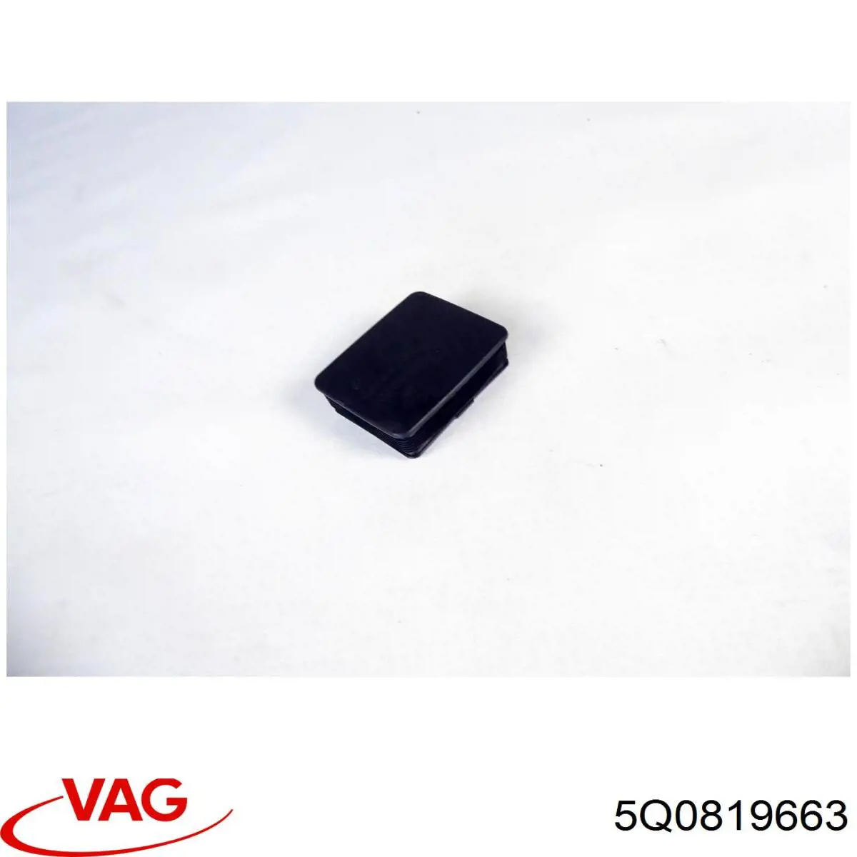 5Q0819663 VAG 