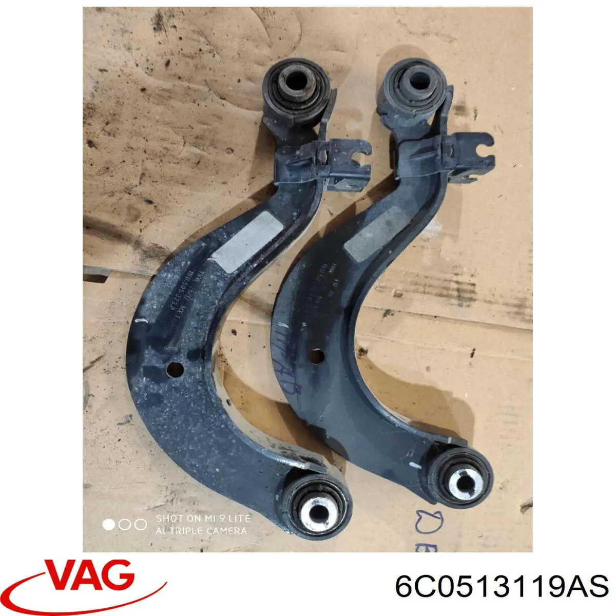 6C0513119AS VAG 