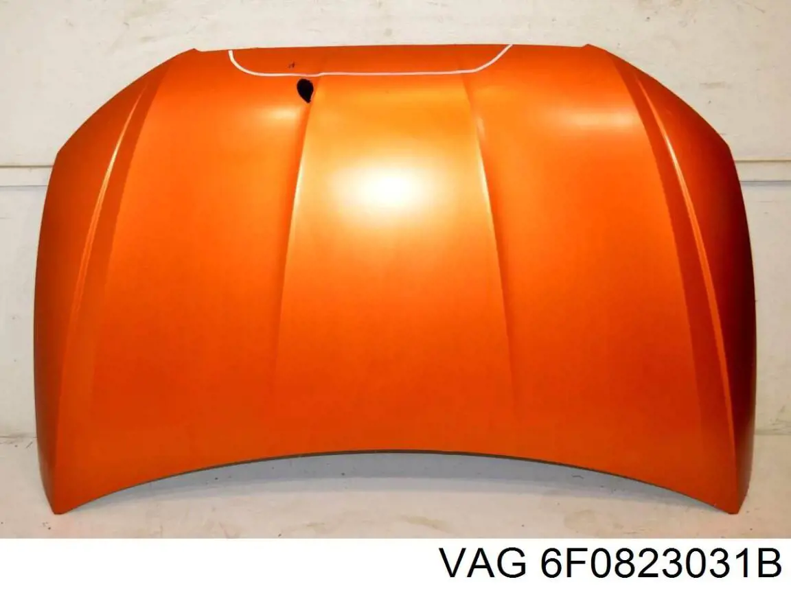 6F0823031B VAG Capota