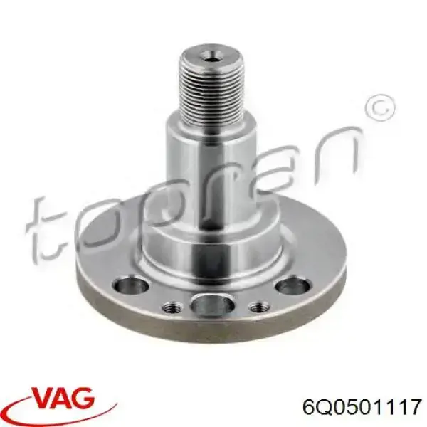 6Q0501117 VAG Pino moente (extremidade do eixo) traseiro