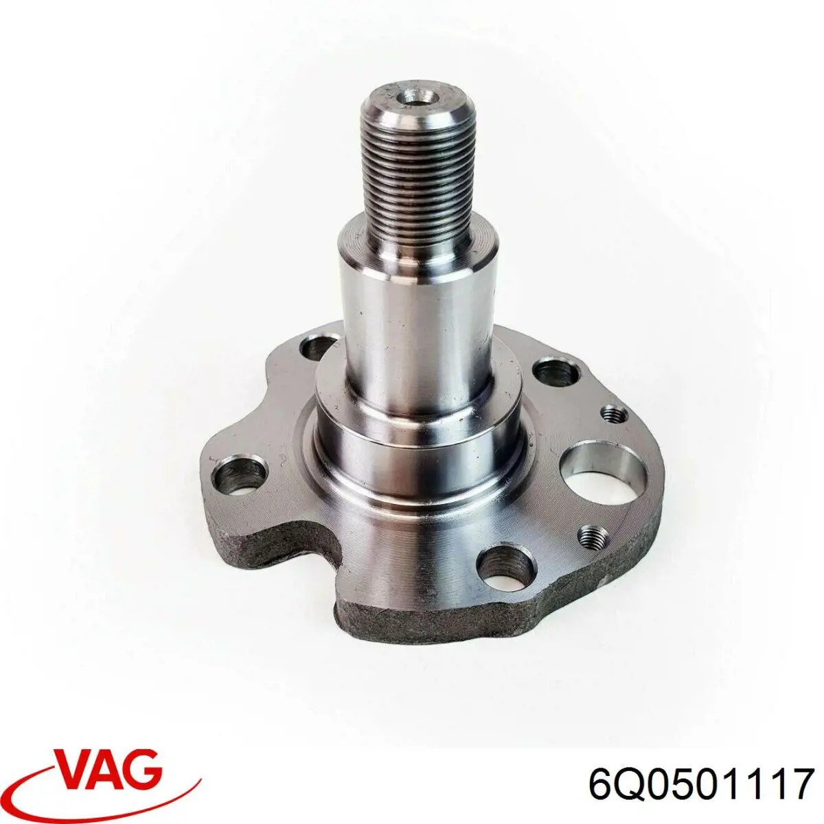 Compre 6Q0501117 VAG Pino moente (extremidade do eixo) traseiro
