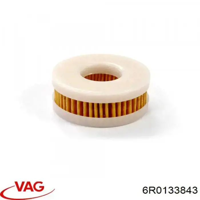 6R0133843 VAG 