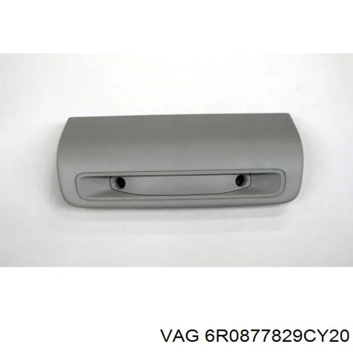 6R0877829CY20 VAG 
