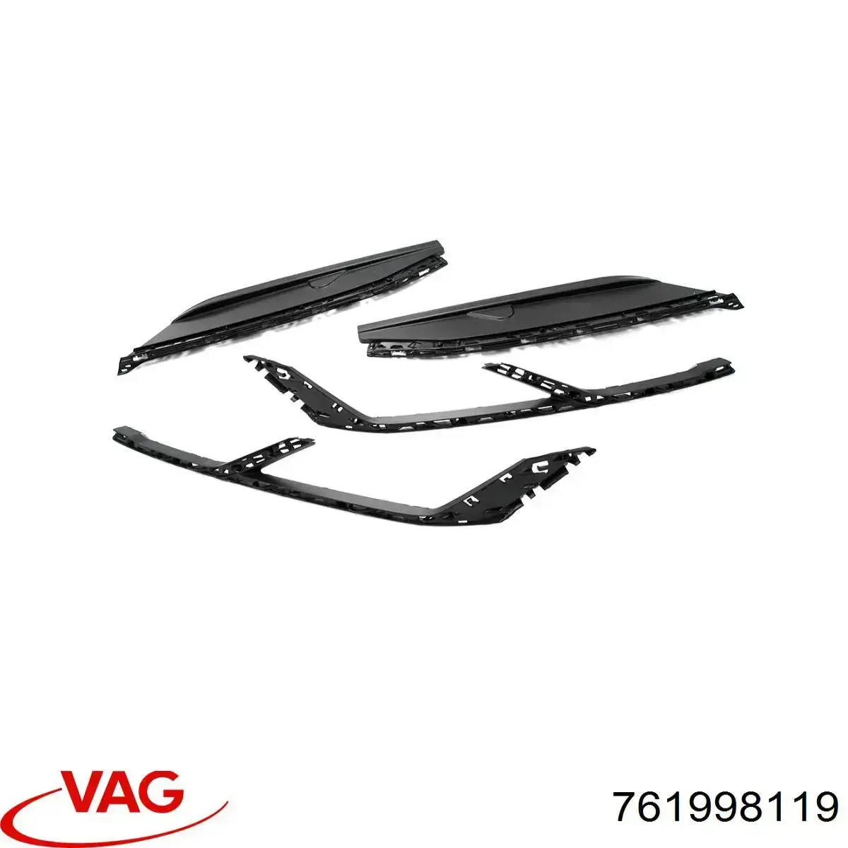 761998119 VAG 