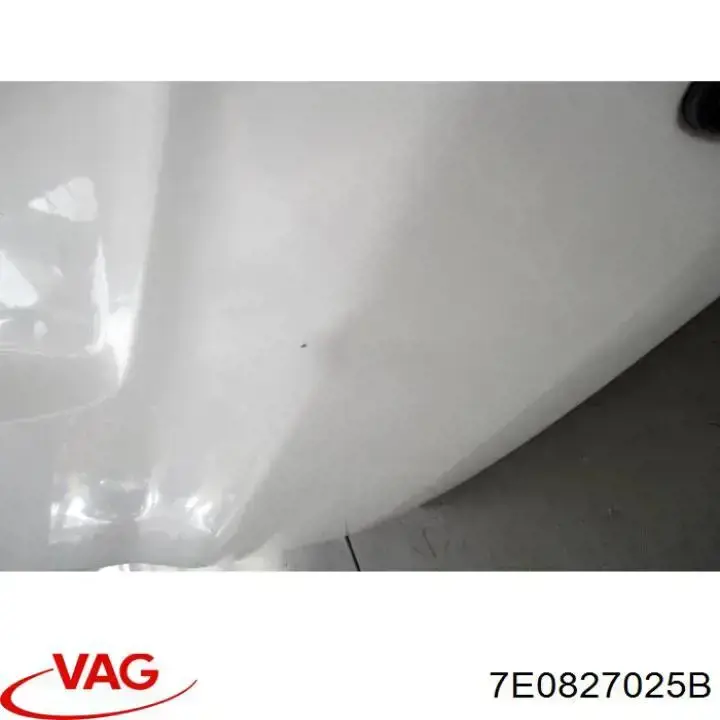 Compre 7E0827025F VAG Porta traseira (3ª/5ª porta-malas (tampa de alcapão)