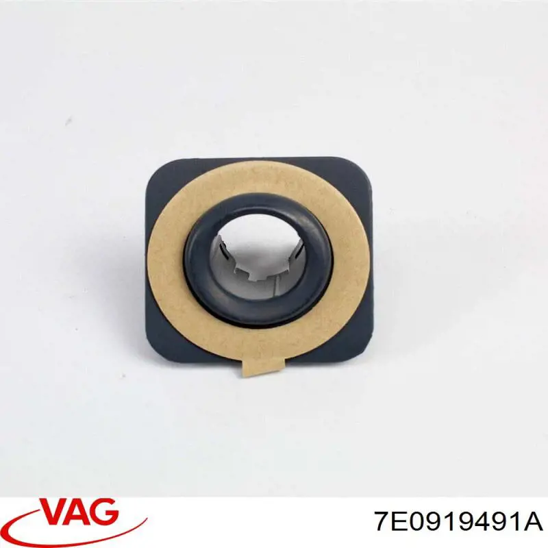 7E0919491A VAG 