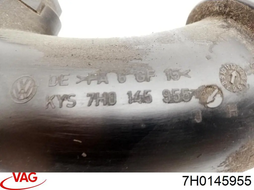  VAG 7H0145955