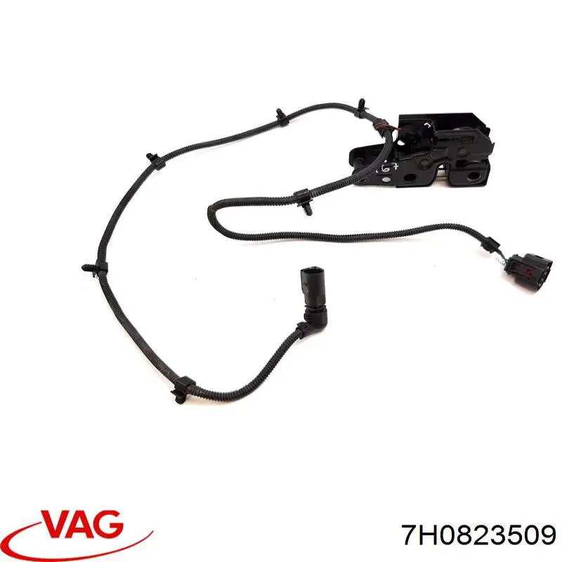 Fecho da capota VAG 7H0823509 preço, a partir de 38,06 USD