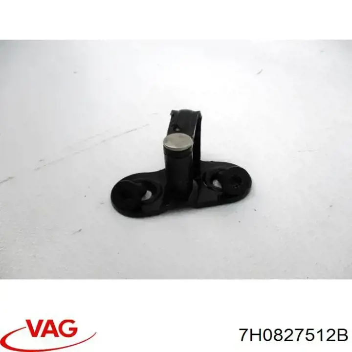 Gozno de garra (parte complementar) de fecho da porta traseira (de bagageiro, 3ª/5ª) VAG 7H0827512B preço, a partir de 42,21 USD