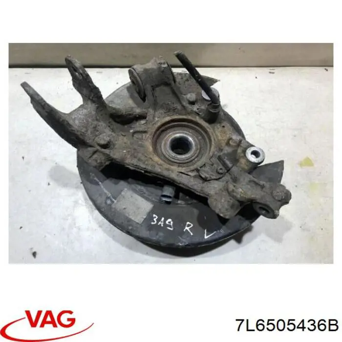 Pino moente (extremidade do eixo) traseiro direito VAG 7L6505436B preço, a partir de 103,86 USD