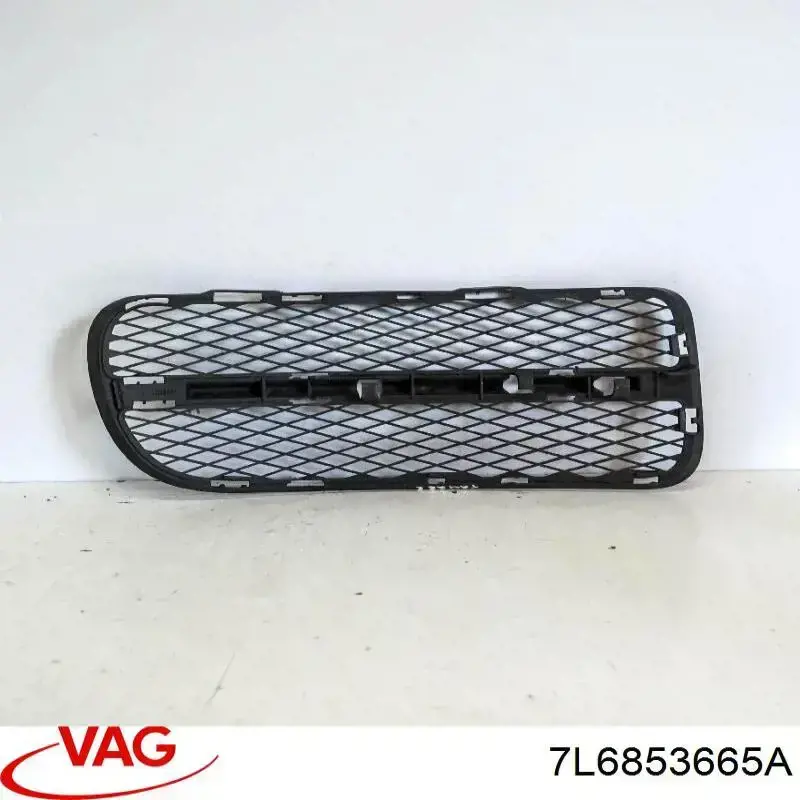 Grelha esquerda do pára-choque dianteiro VAG 7L6853665A preço, a partir de 19,60 USD