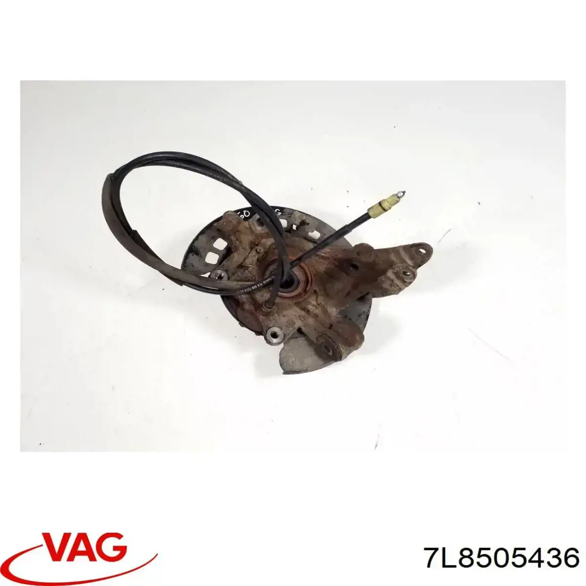 Pino moente (extremidade do eixo) traseiro direito VAG 7L8505436 preço, a partir de 165,15 USD