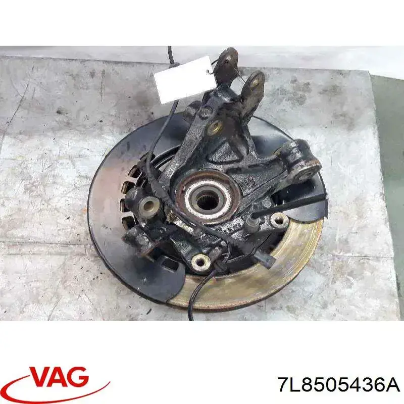 7L8505436A VAG Pino moente (extremidade do eixo) traseiro direito