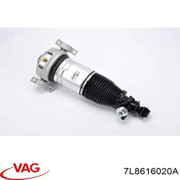7L8616020A VAG Amortecedor traseiro direito