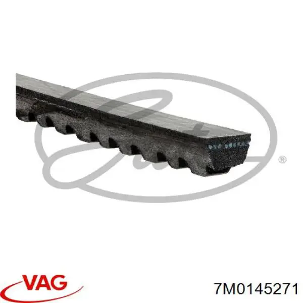 7M0145271 VAG Correia dos conjuntos de transmissão