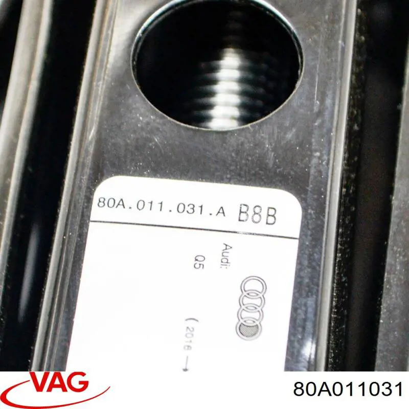 Compre 80A011031 VAG Macaco