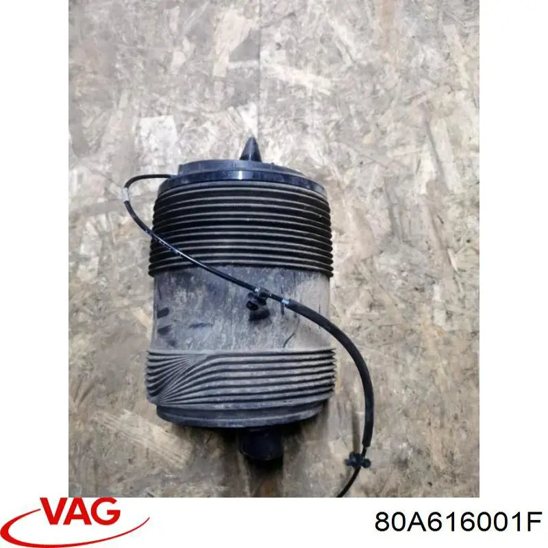 80A616001F VAG 