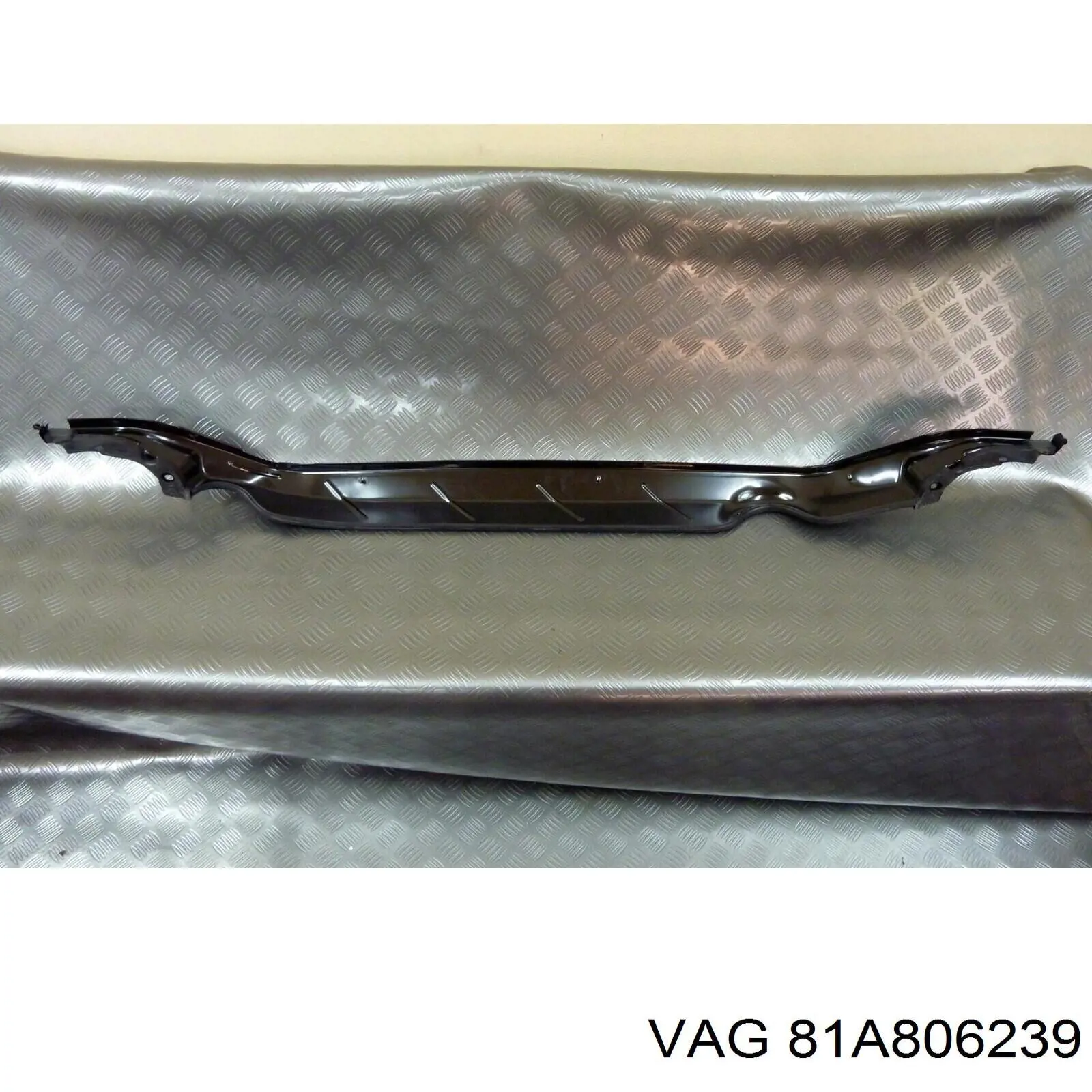 81A806239 VAG 