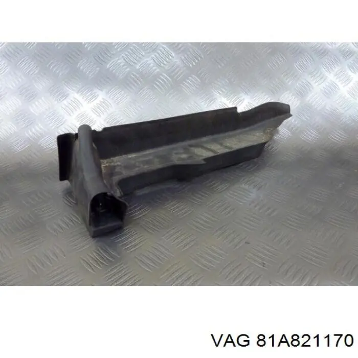 81A821170 VAG 