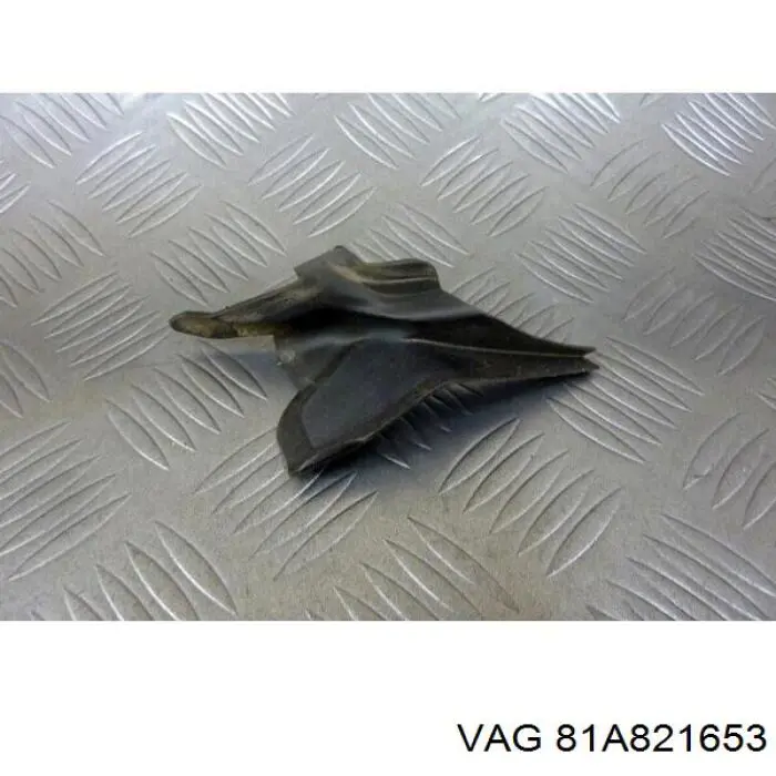 81A821653 VAG 