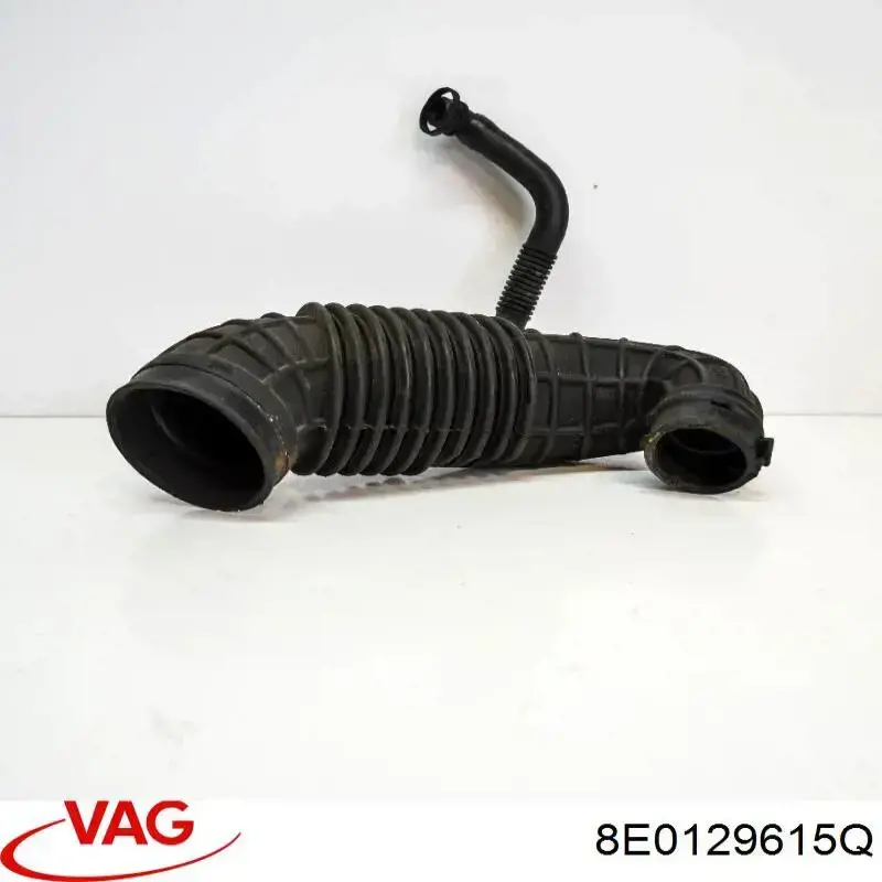8E0129615Q VAG 