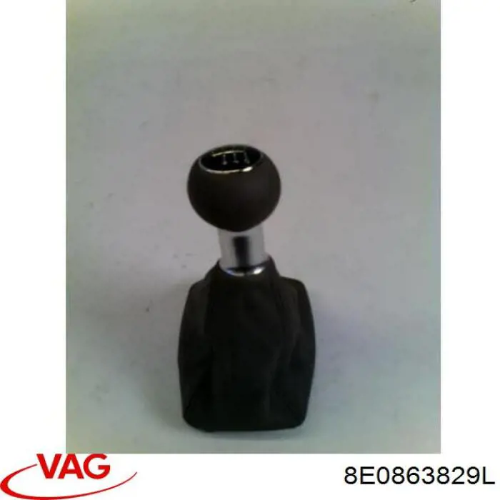 8E0863829L VAG 