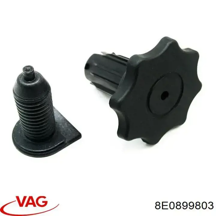 8E0899803 VAG 