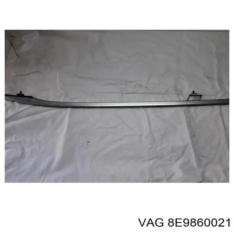  VAG 8E9860021