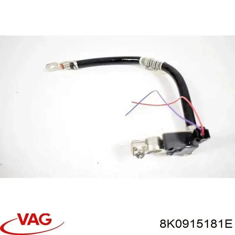Compre 8K0915181E VAG Cabo de terra de bateria recarregável (PILHA)