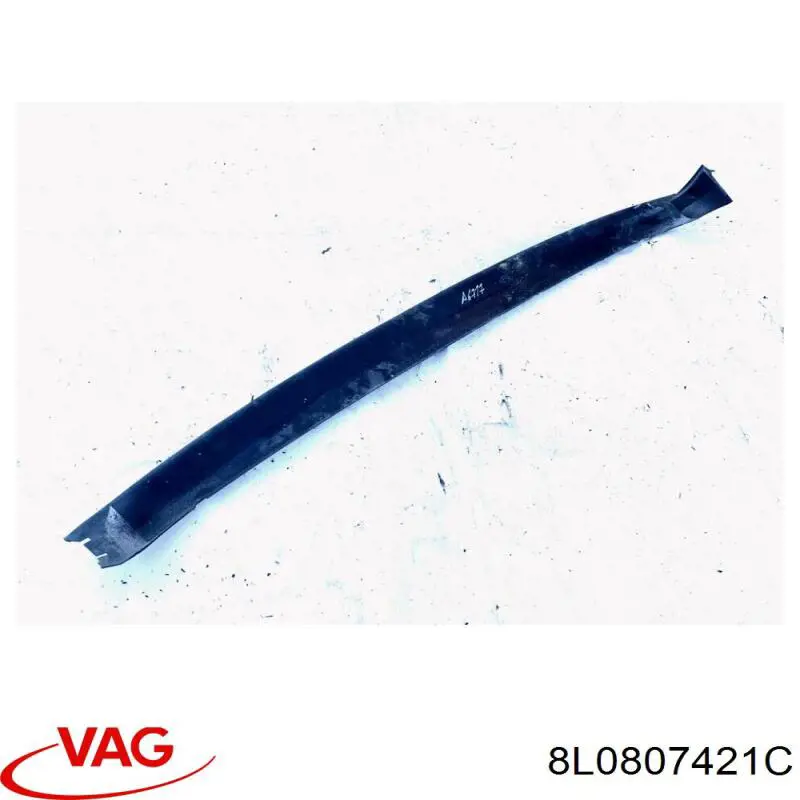 8L0807421C VAG Pára-choque traseiro