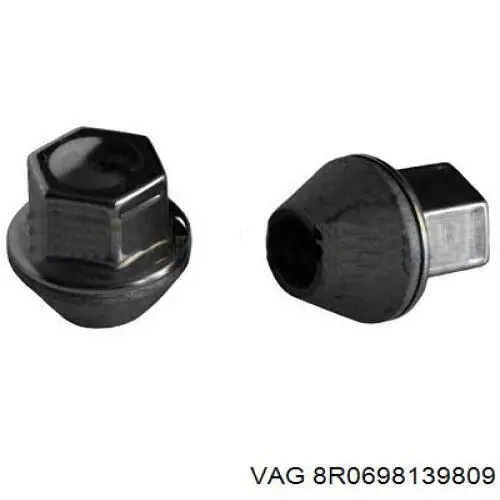 8R0698139809 VAG 