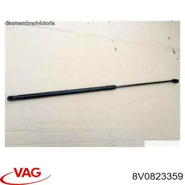 Compre 10100519 Depo/Loro/Abakus Amortecedor da capota