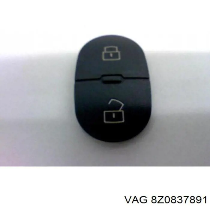 8Z0837891 VAG 