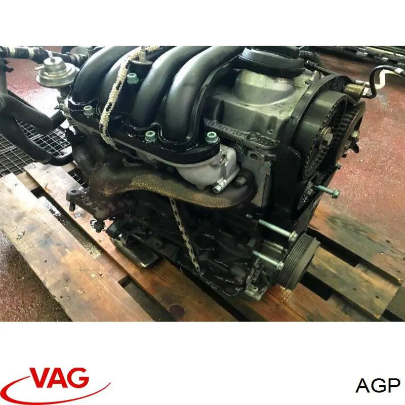 Motor montado AGP VAG