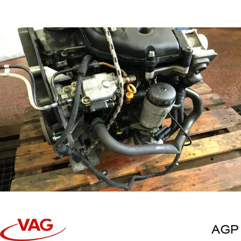  VAG AGP