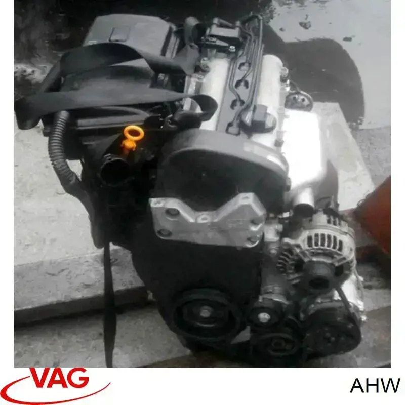 AHW VAG Motor montado