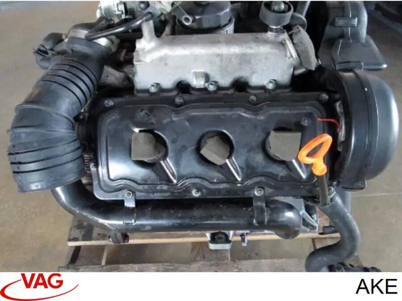 AKE VAG Motor montado