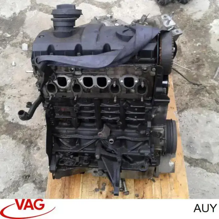 AUY VAG Motor montado