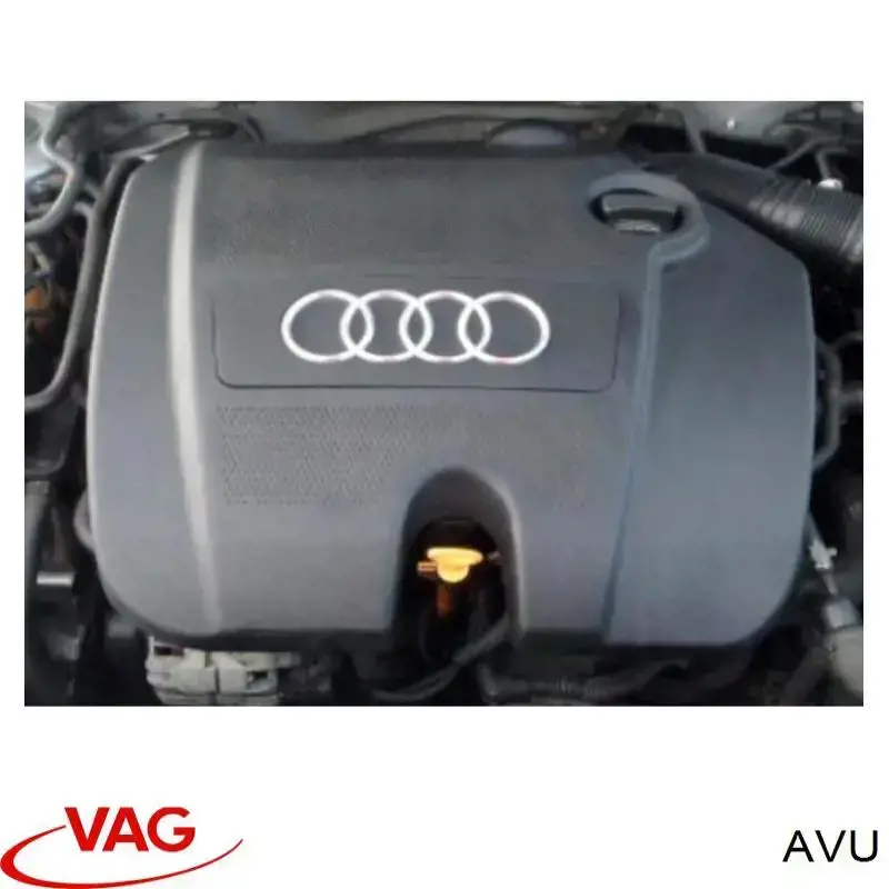 AVU VAG Motor montado