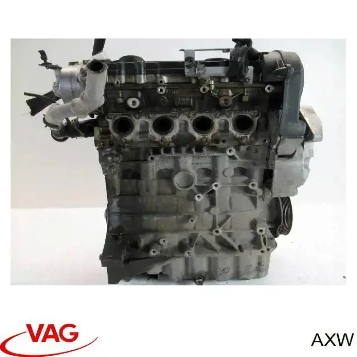 Motor montado VAG AXW