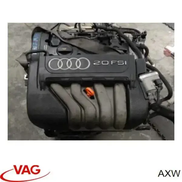 AXW VAG Motor montado